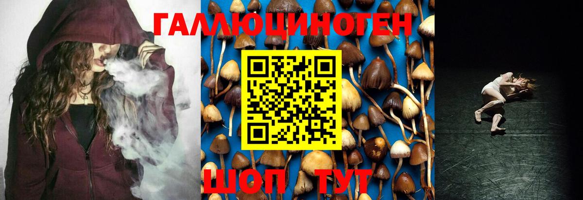 Псилоцибиновые грибы Magic Shrooms  купить  цена  Севастополь  Галлюциногенные грибы мицелий  Вход с VPN 
