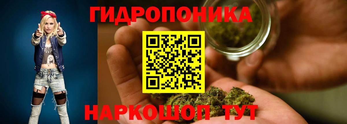 Каннабис семена  Вход с VPN  МАРИХУАНА Ganja  МАРИХУАНА семена  Севастополь  Марихуана Bruce Banner 